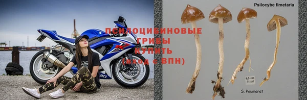 крисы Абинск