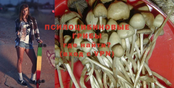 мдма Переславль-Залесский
