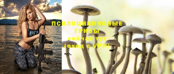 амф Пересвет